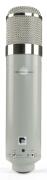 Chandler Limited - REDD.Microphone / Mikrofon