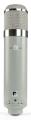 Chandler Limited - REDD.Microphone / Mikrofon