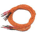 Amphion Speaker Cable 2,5m, Paarpreis